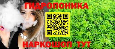 apvp Лесосибирск