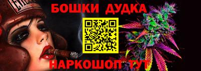 apvp Лесосибирск