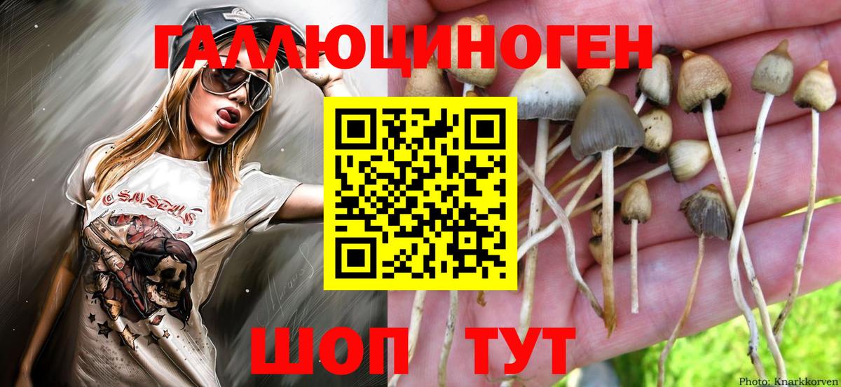 Псилоцибиновые грибы MAGIC MUSHROOMS  Вход с VPN  Ярцево  Псилоцибиновые грибы прущие грибы 